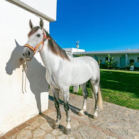 Apartament Casa Rural Con Terraza Privada III Tarifa Zewnętrze zdjęcie