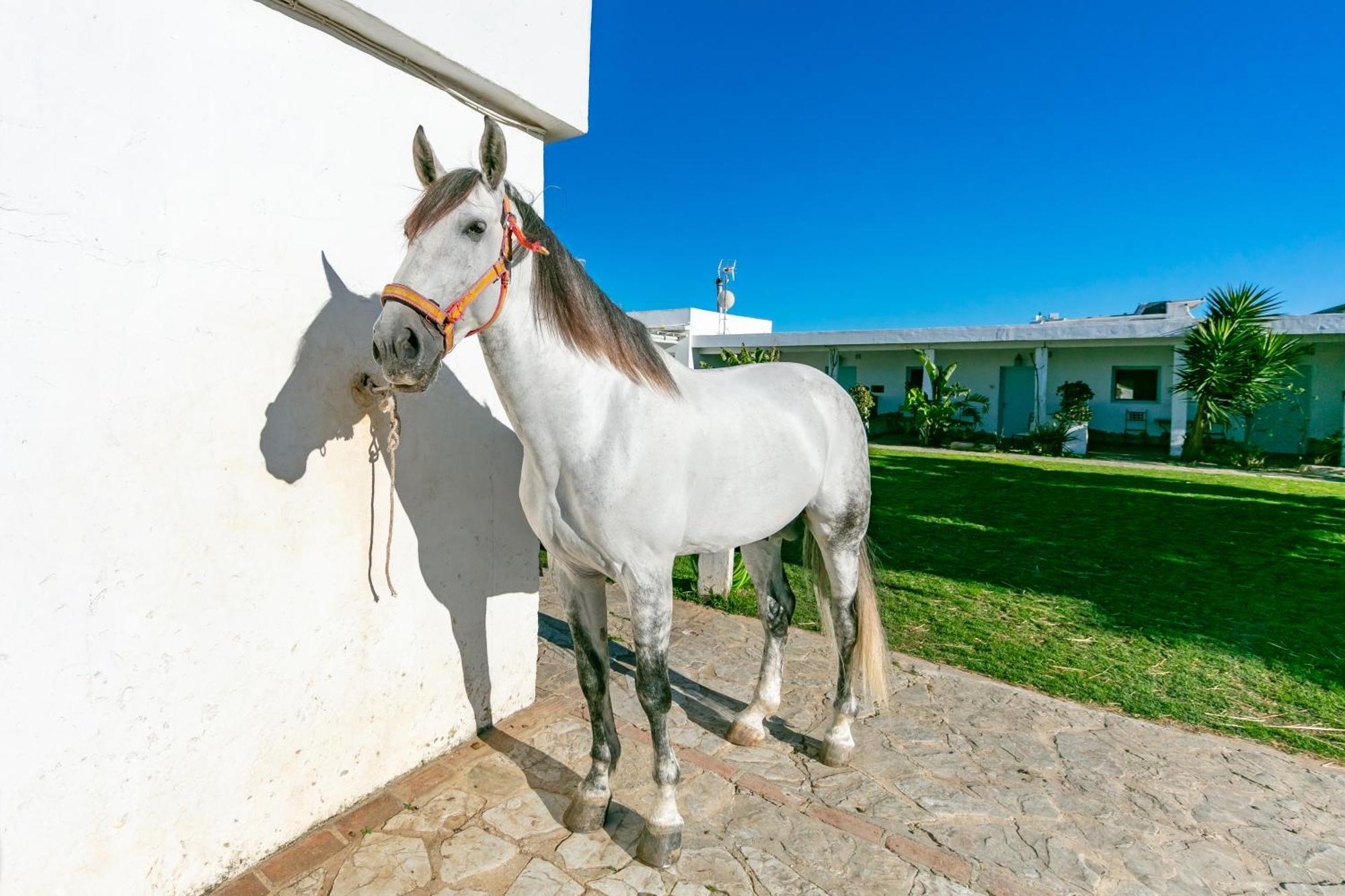 Apartament Casa Rural Con Terraza Privada III Tarifa Zewnętrze zdjęcie